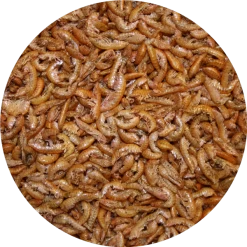 Pond Pro Pond Pro Gammarus 2,5 Liter Emmer