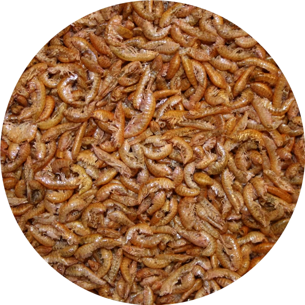 Pond Pro Pond Pro Gammarus 5 Liter Emmer