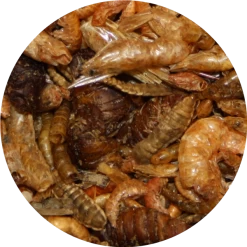 Pond Pro Pond Pro Natuur Mix 5 Liter Emmer