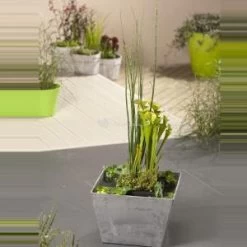 Mini Vijver Grijs Met Planteneiland - 2 Stuks